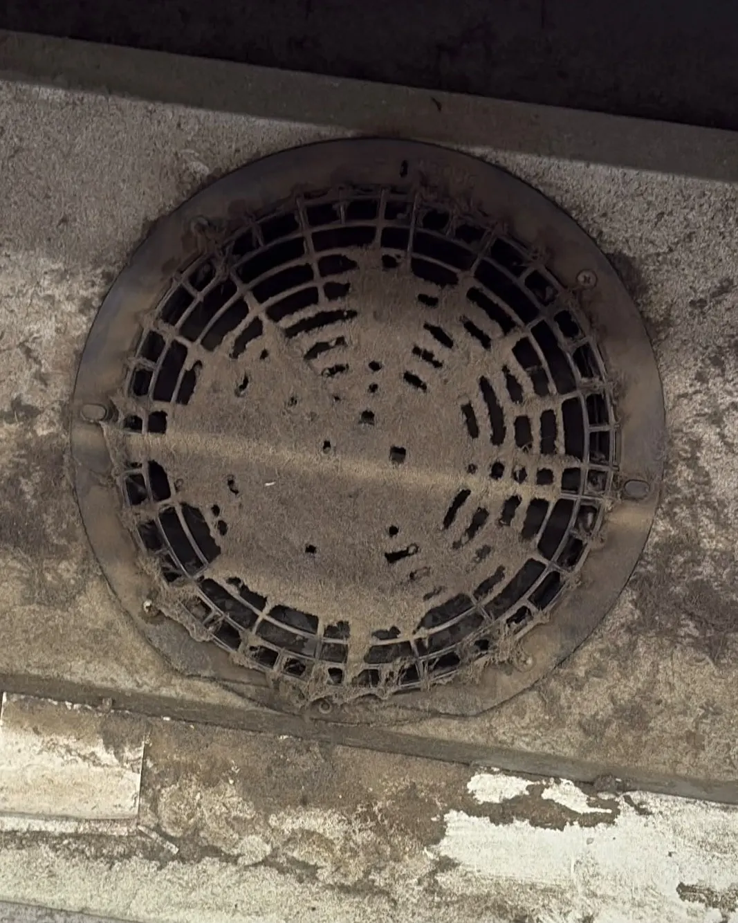 Fan guard on a refrigerated cabinet clogged with dust